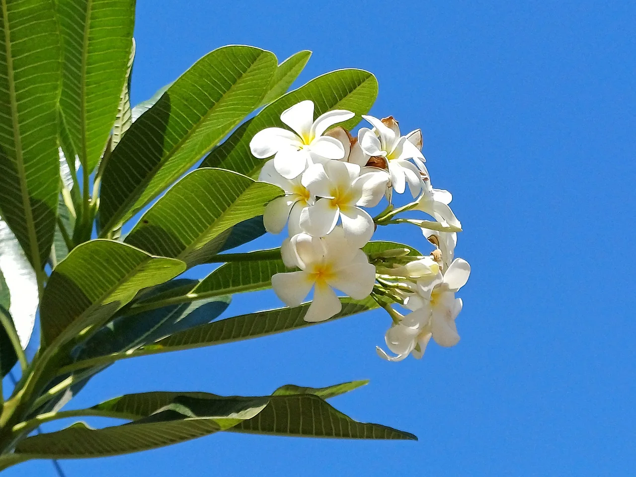 20241226_130755.jpg?type=w1600