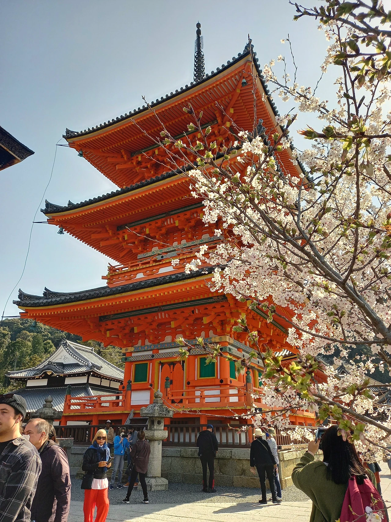 20230330_093957.jpg?type=w1600