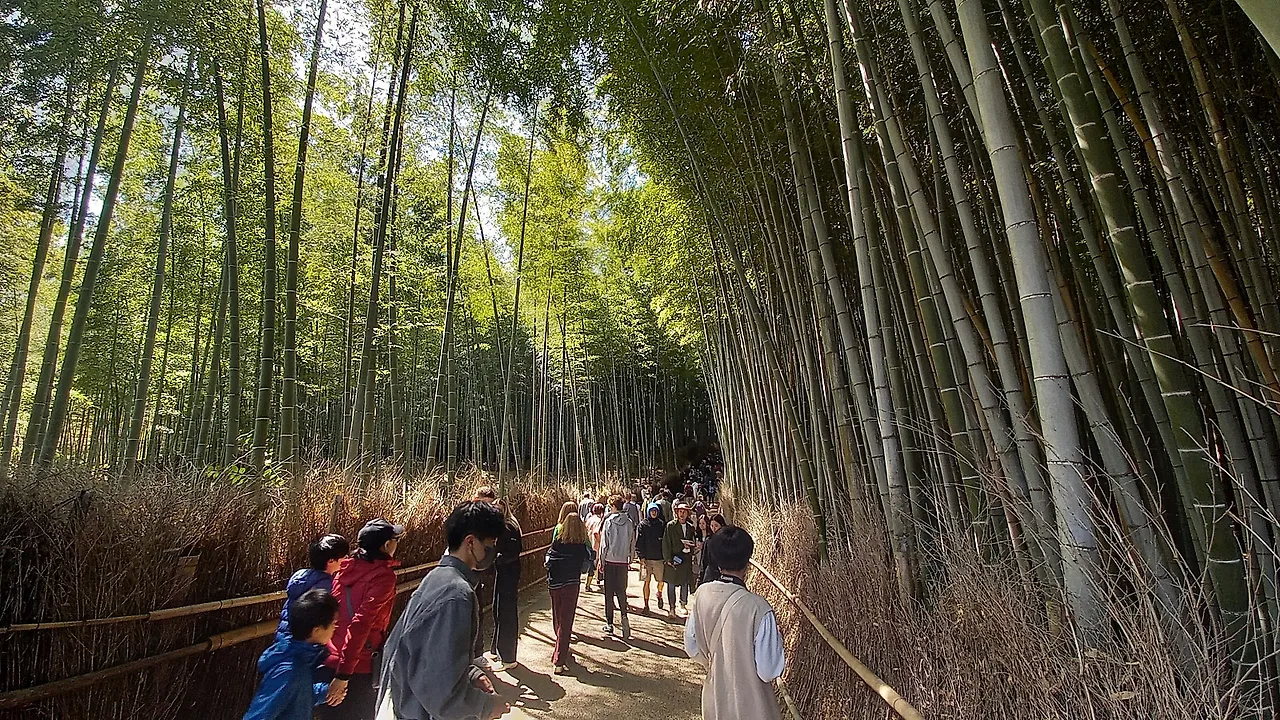 20230329_112300.jpg?type=w1600