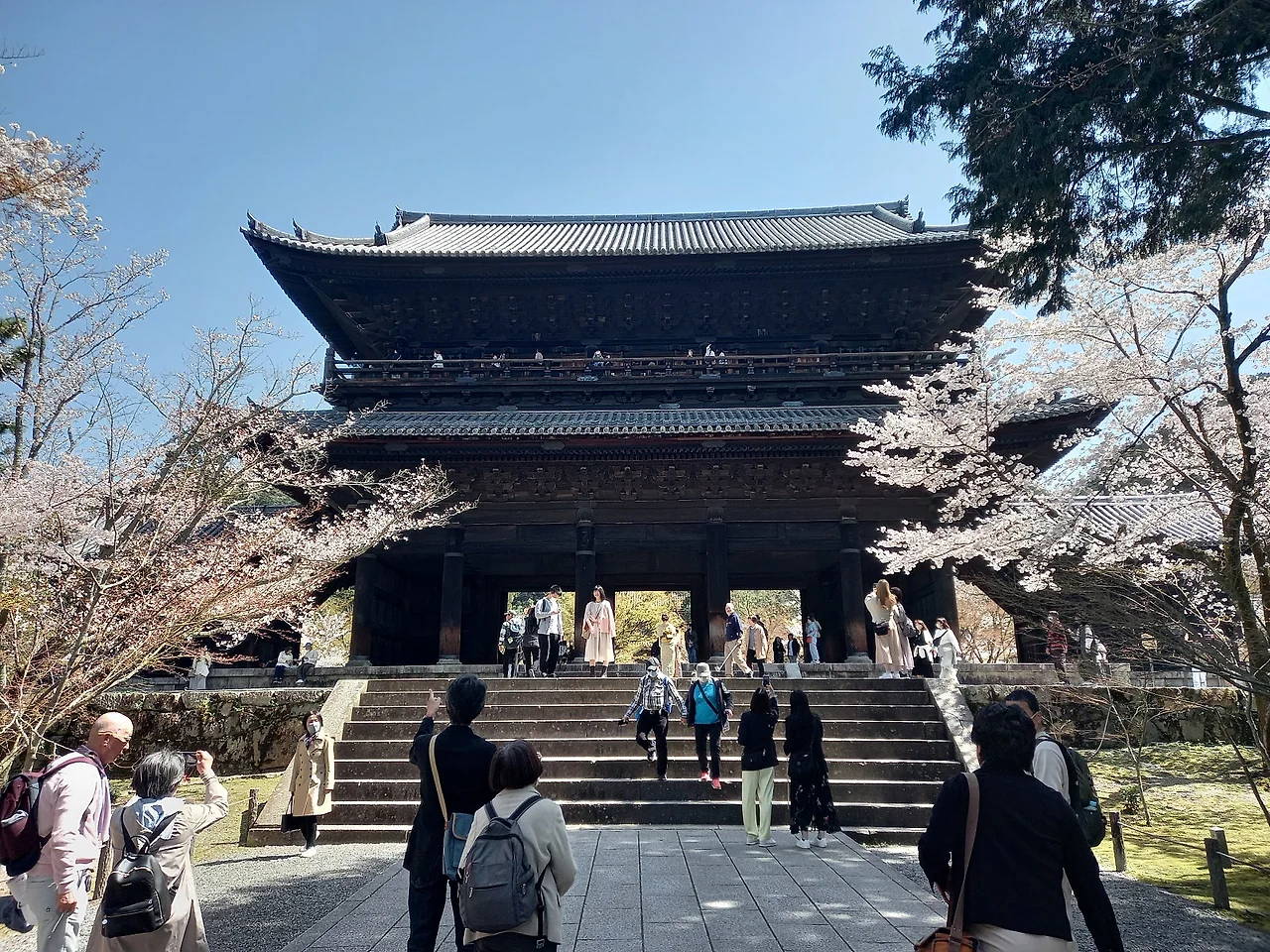 20230328_114525.jpg?type=w1600