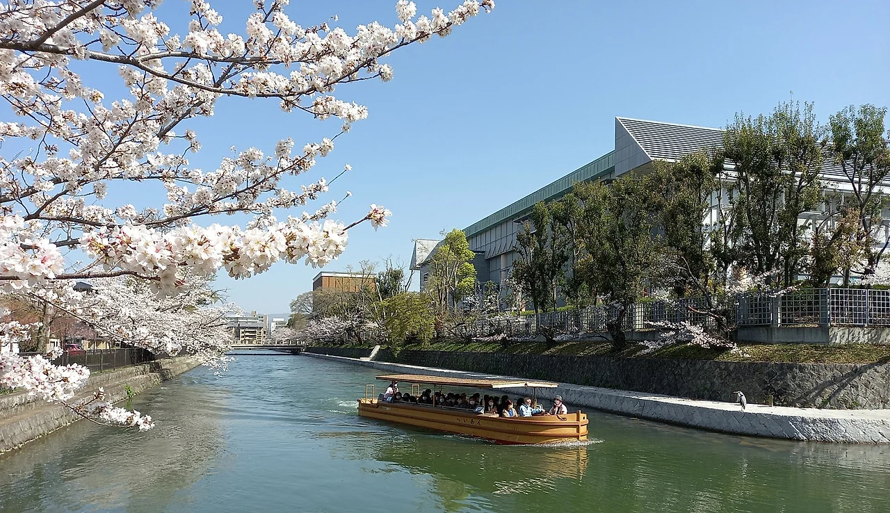 SE-13fabff9-f3c5-4224-bd86-542359750b8b.jpg?type=w1600