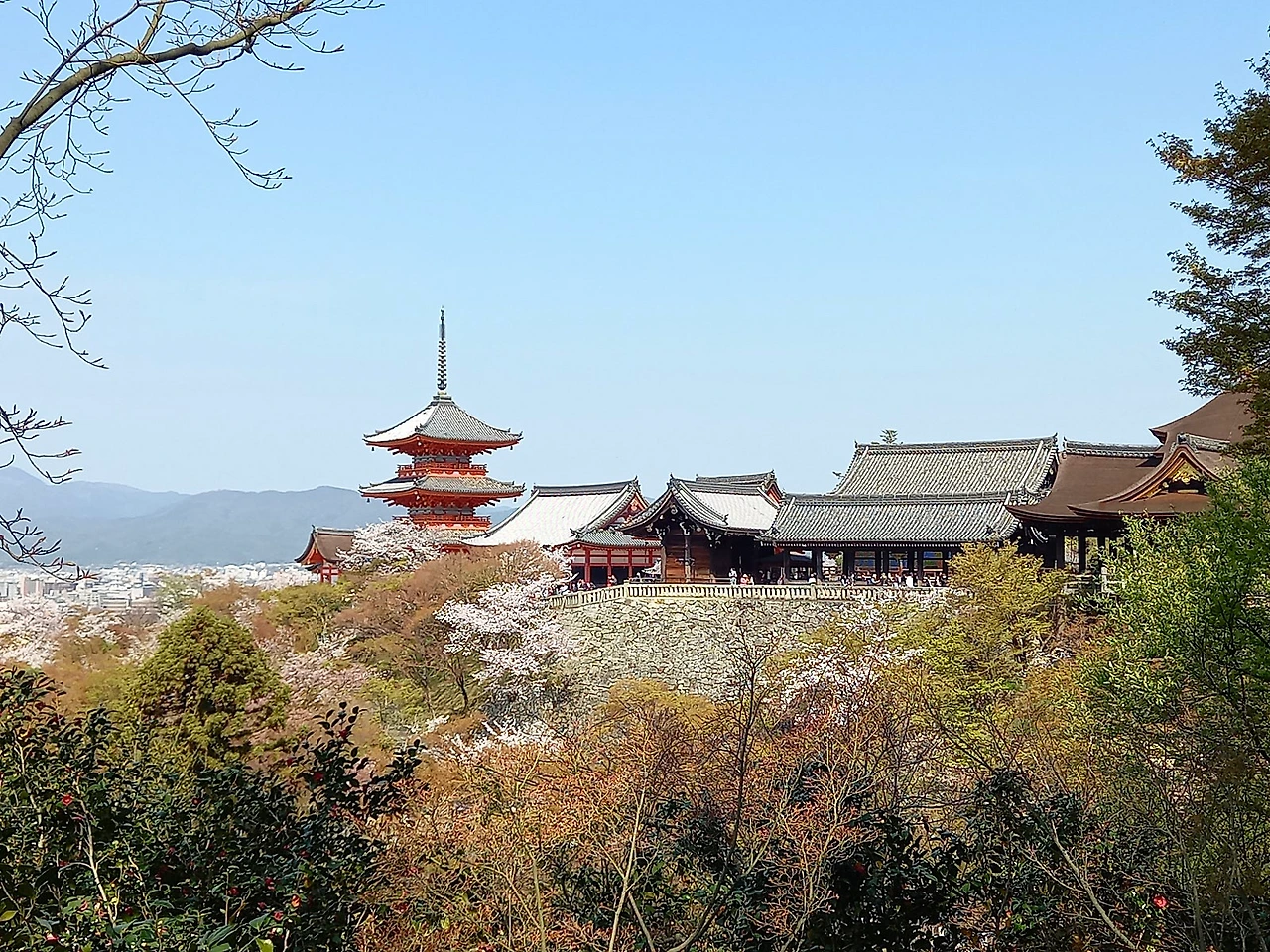 20230330_100748.jpg?type=w1600