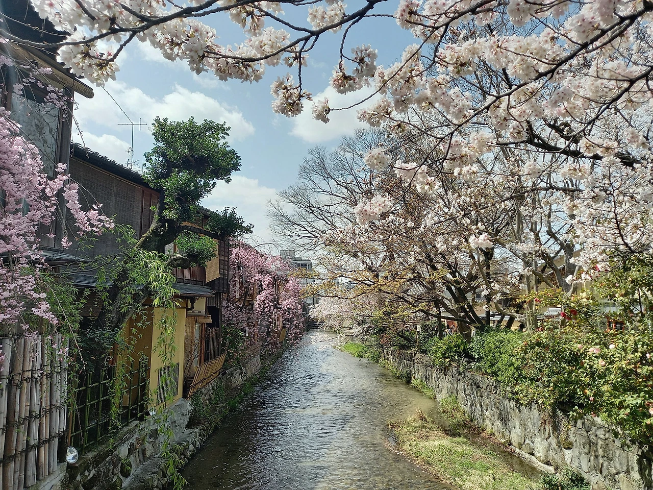 20230327_122334.jpg?type=w1600