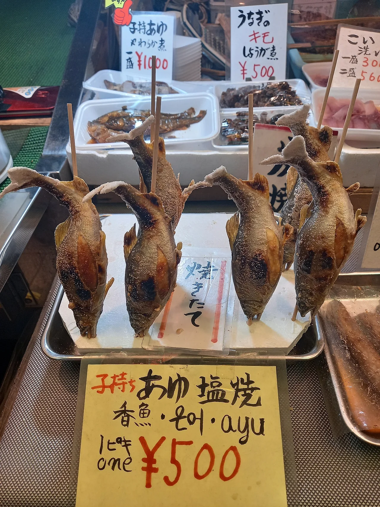 20230322_140335.jpg?type=w1600