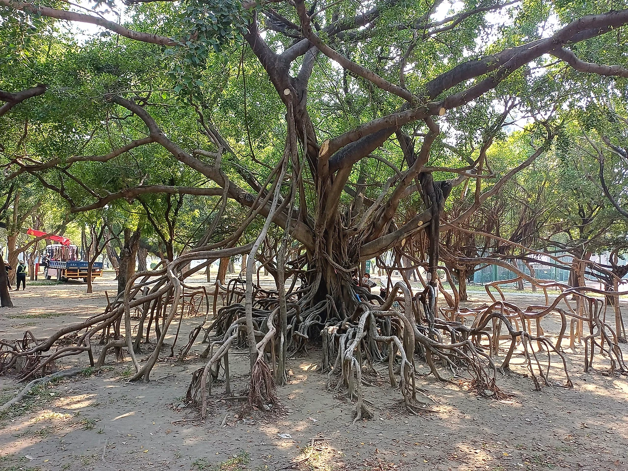 20231103_134650.jpg?type=w1600