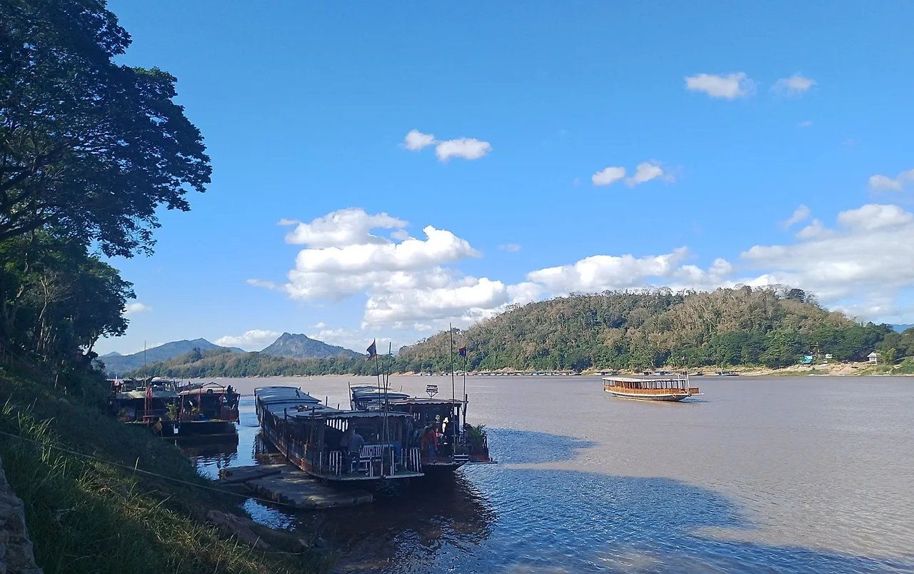 SE-1646ddbd-5613-4166-80d0-c66bbc334189.jpg?type=w1600