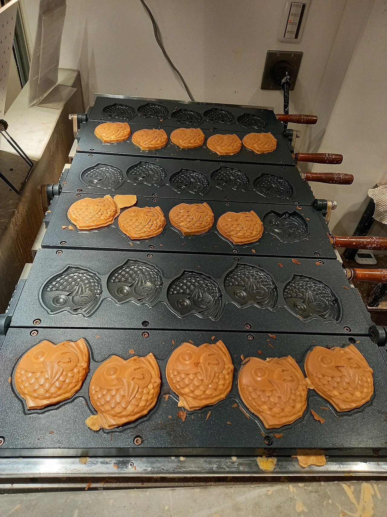 20230322_135802.jpg?type=w1600