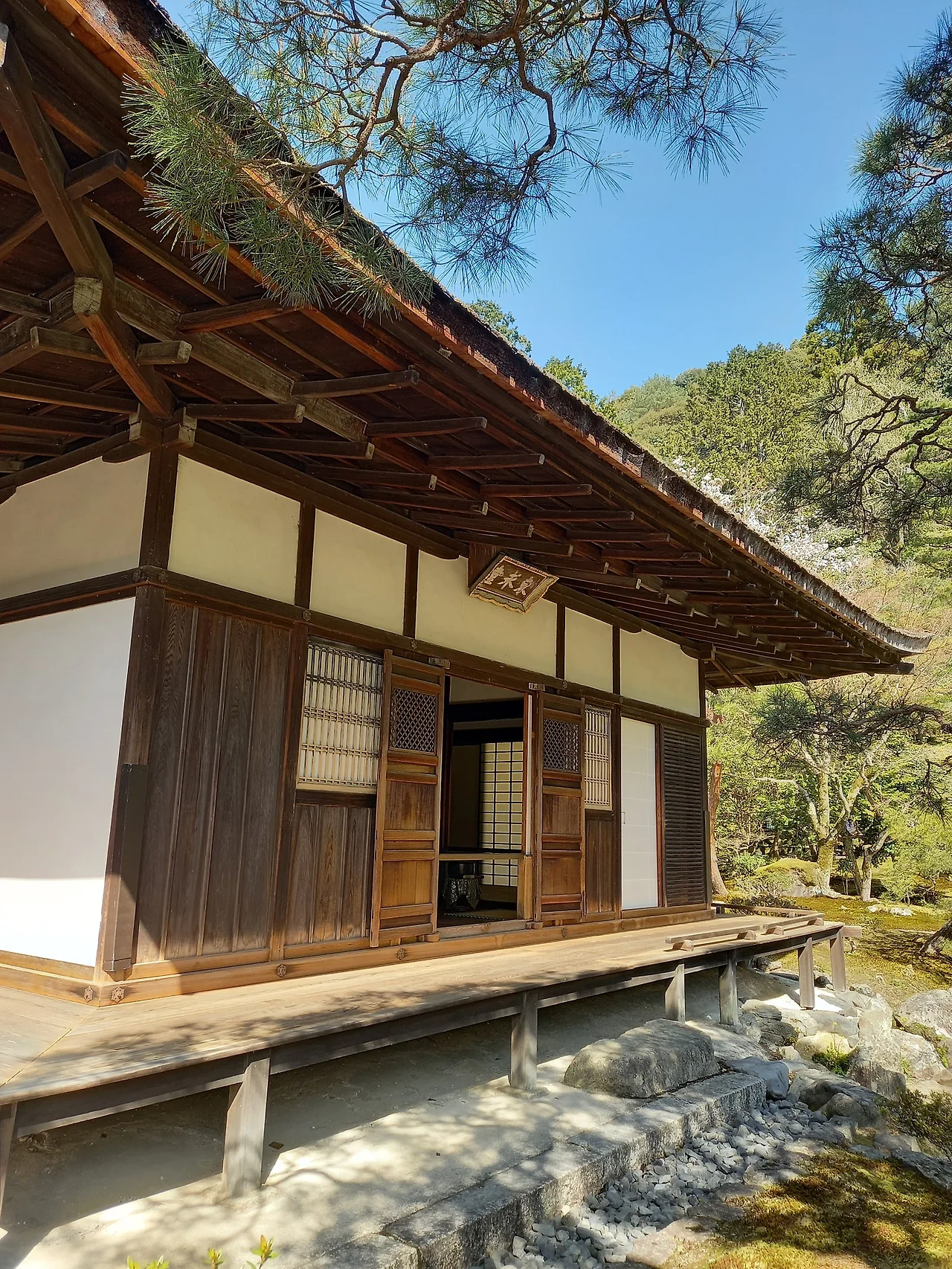 20230328_141817.jpg?type=w1600