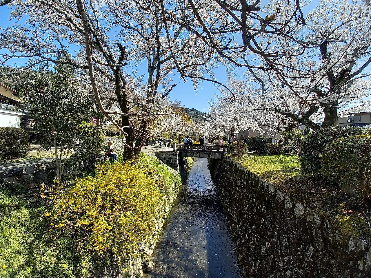 20230328_130910.jpg?type=w1600