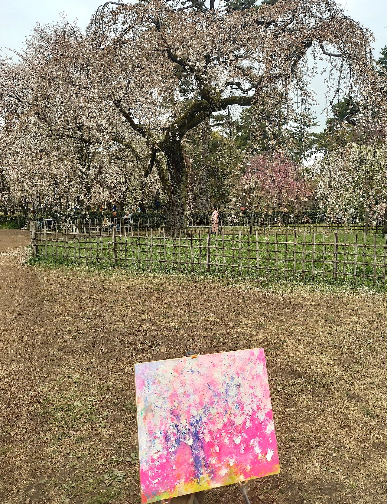 20230325_141444.jpg?type=w1600