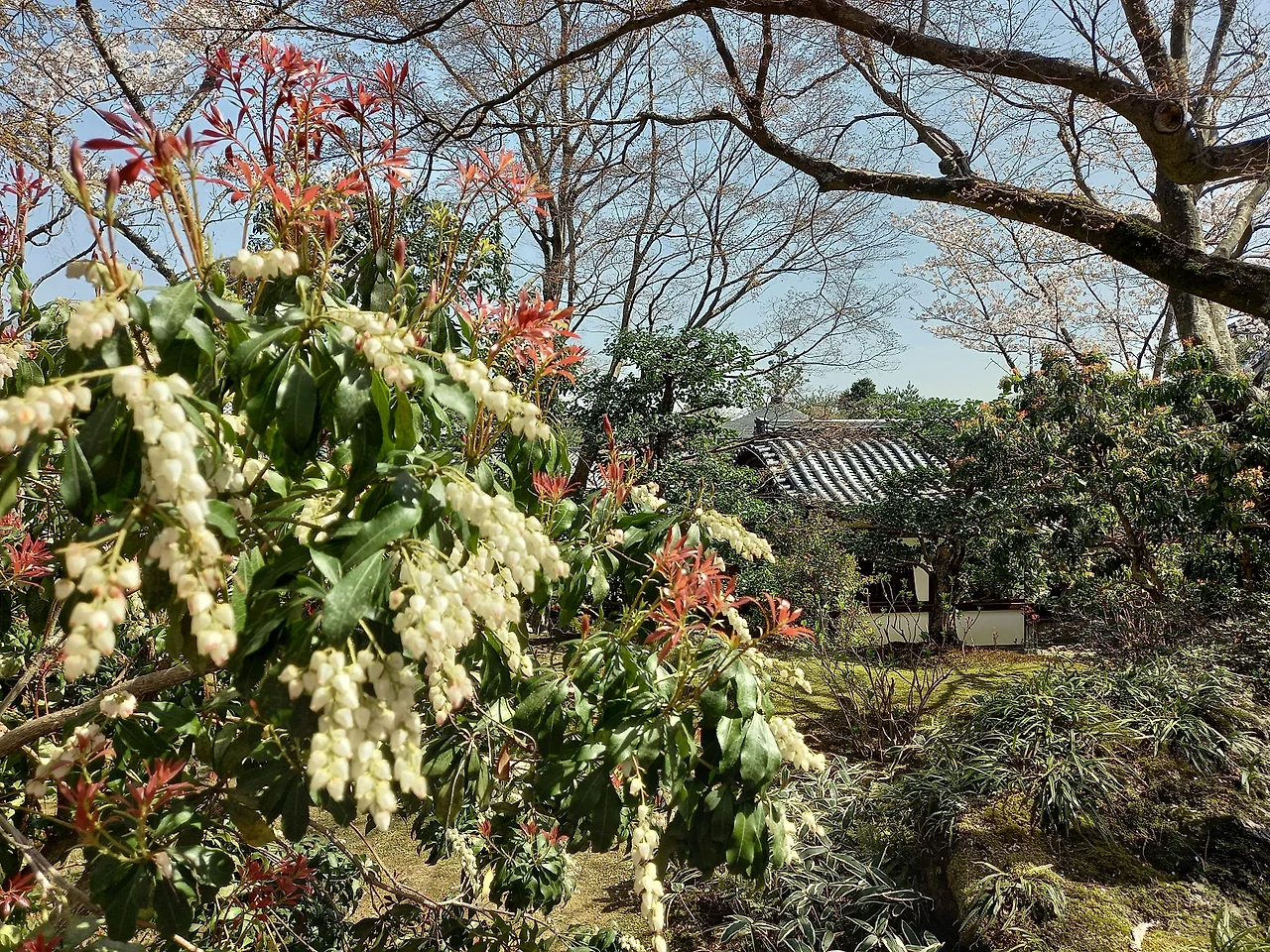 20230329_110557.jpg?type=w1600