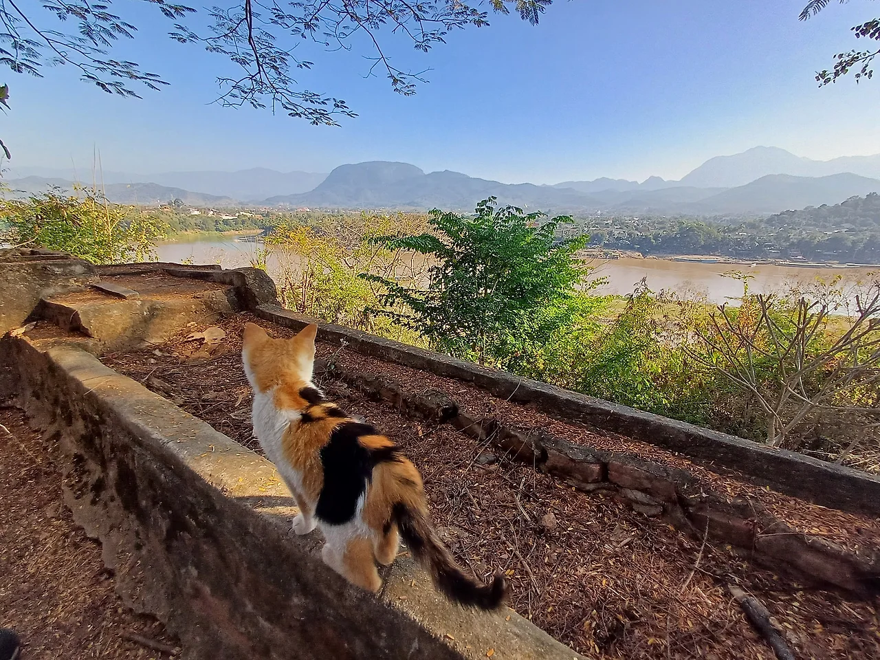 20241226_150530.jpg?type=w1600