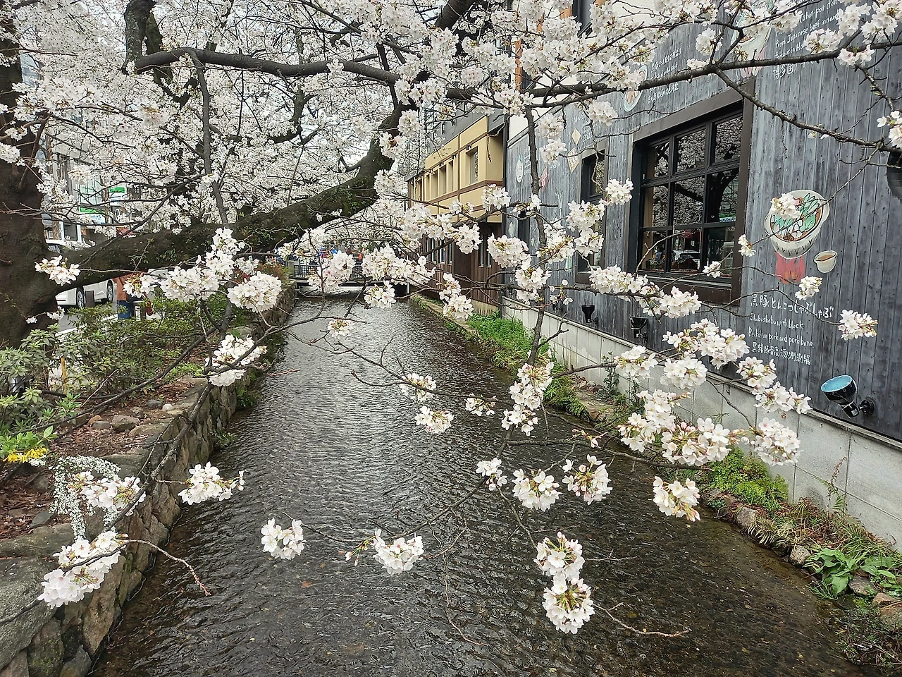 20230324_103431.jpg?type=w1600