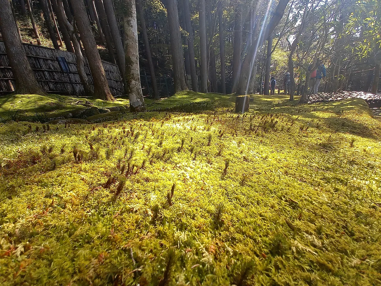 20230328_143032.jpg?type=w1600