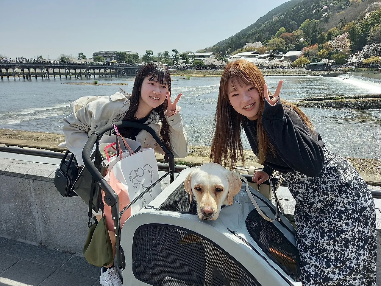 20230329_120933.jpg?type=w1600