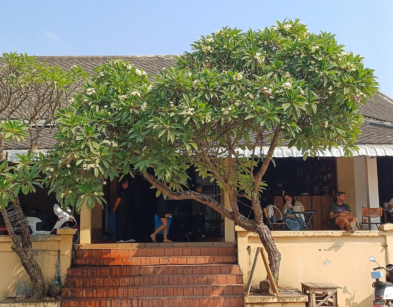 20250105_114154.jpg?type=w1600