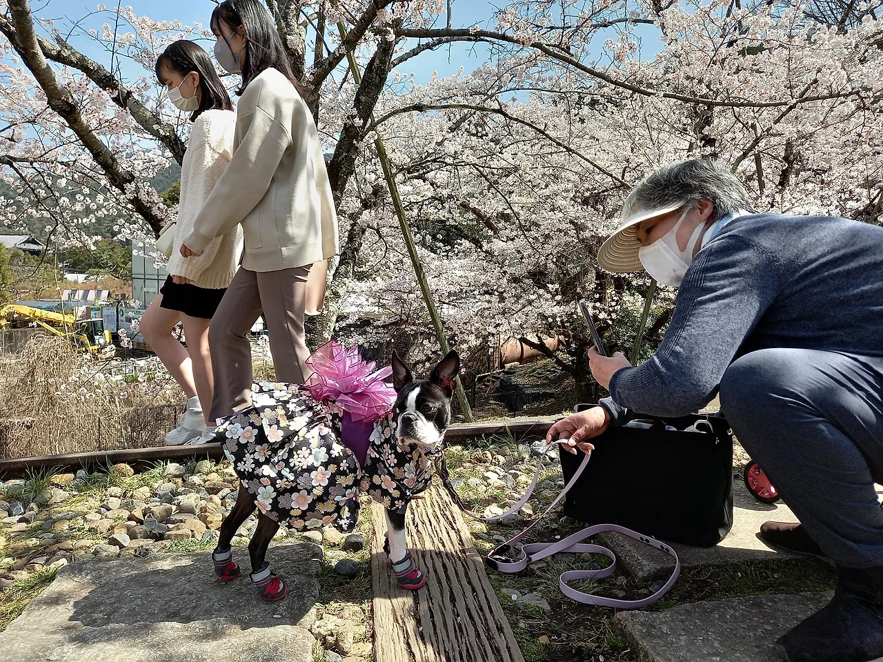 20230328_105115.jpg?type=w1600