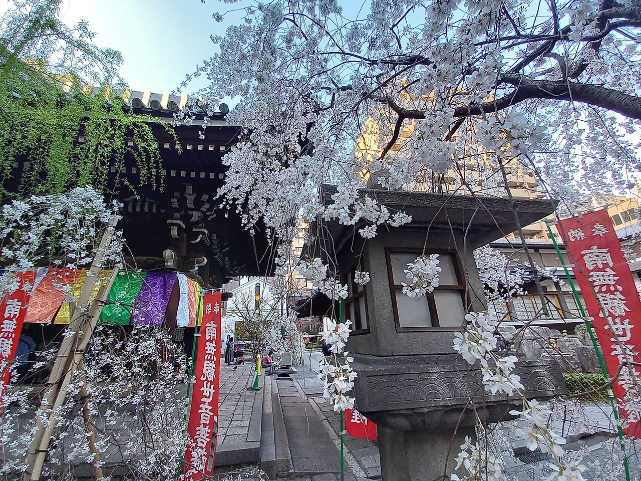 20230322_165503.jpg?type=w1600