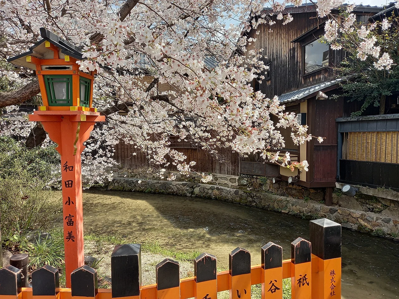 20230327_122604.jpg?type=w1600