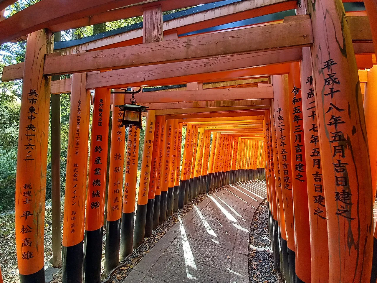 20230410_151606.jpg?type=w1600