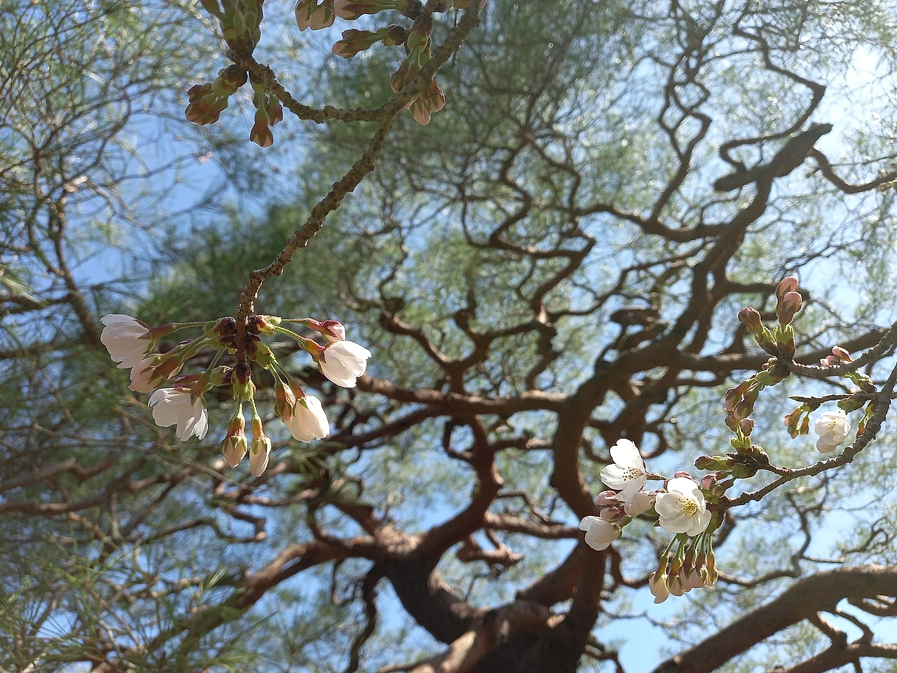 20230320_103504.jpg?type=w1600