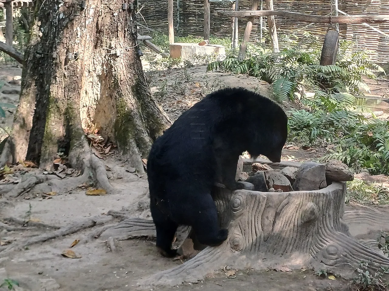 20250101_130949.jpg?type=w1600