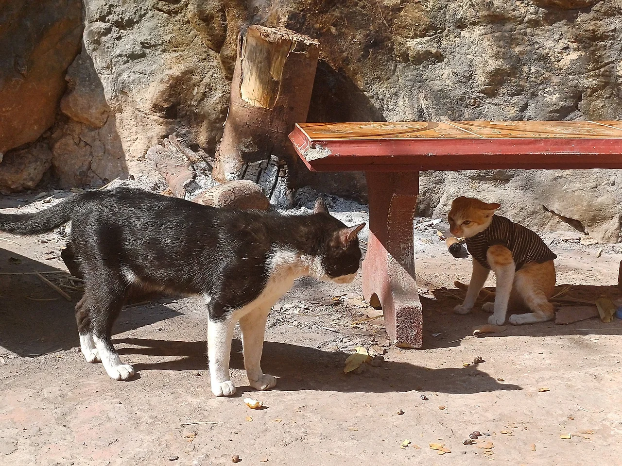 20241223_112756.jpg?type=w1600