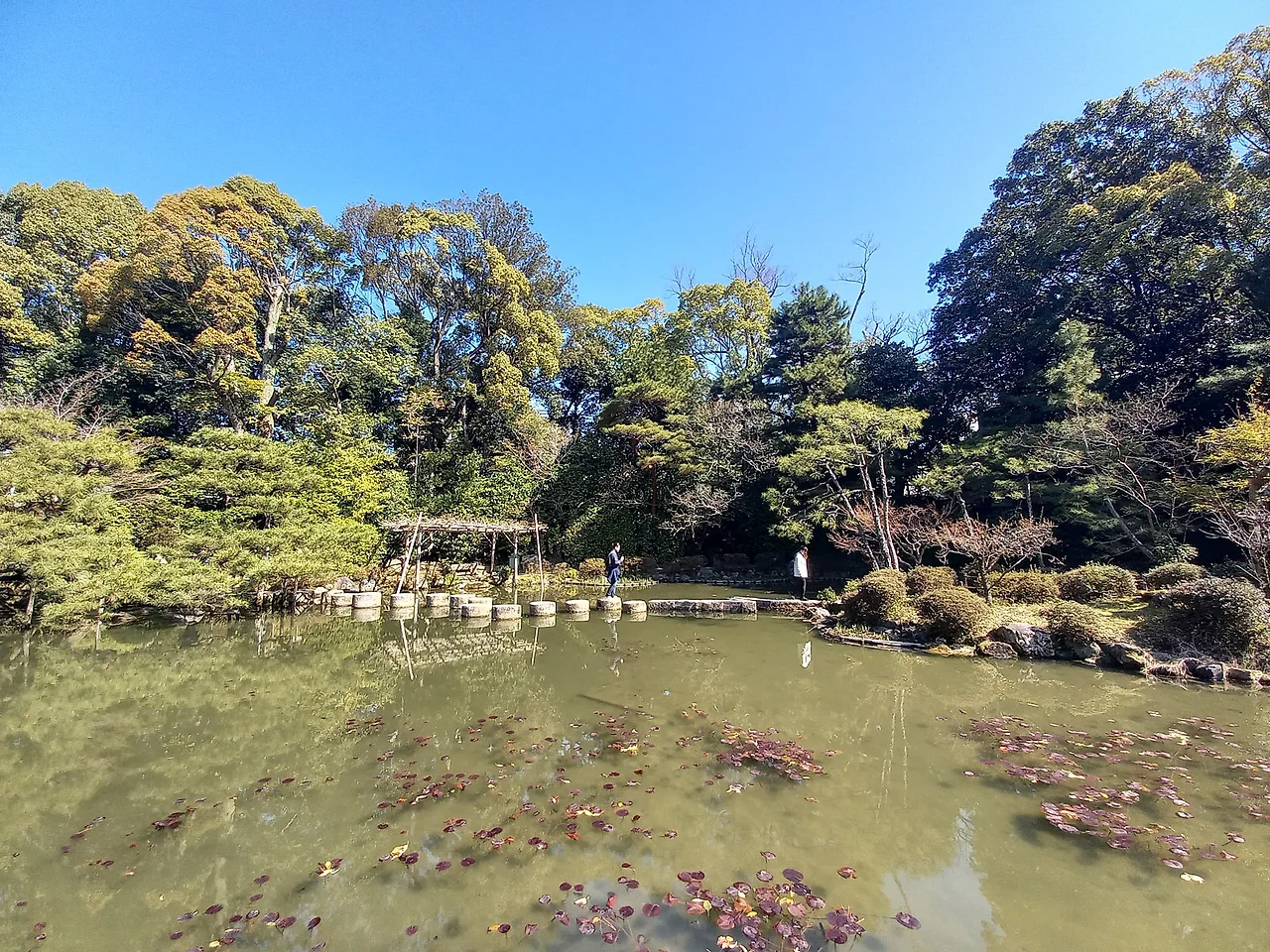 20230320_102054.jpg?type=w1600