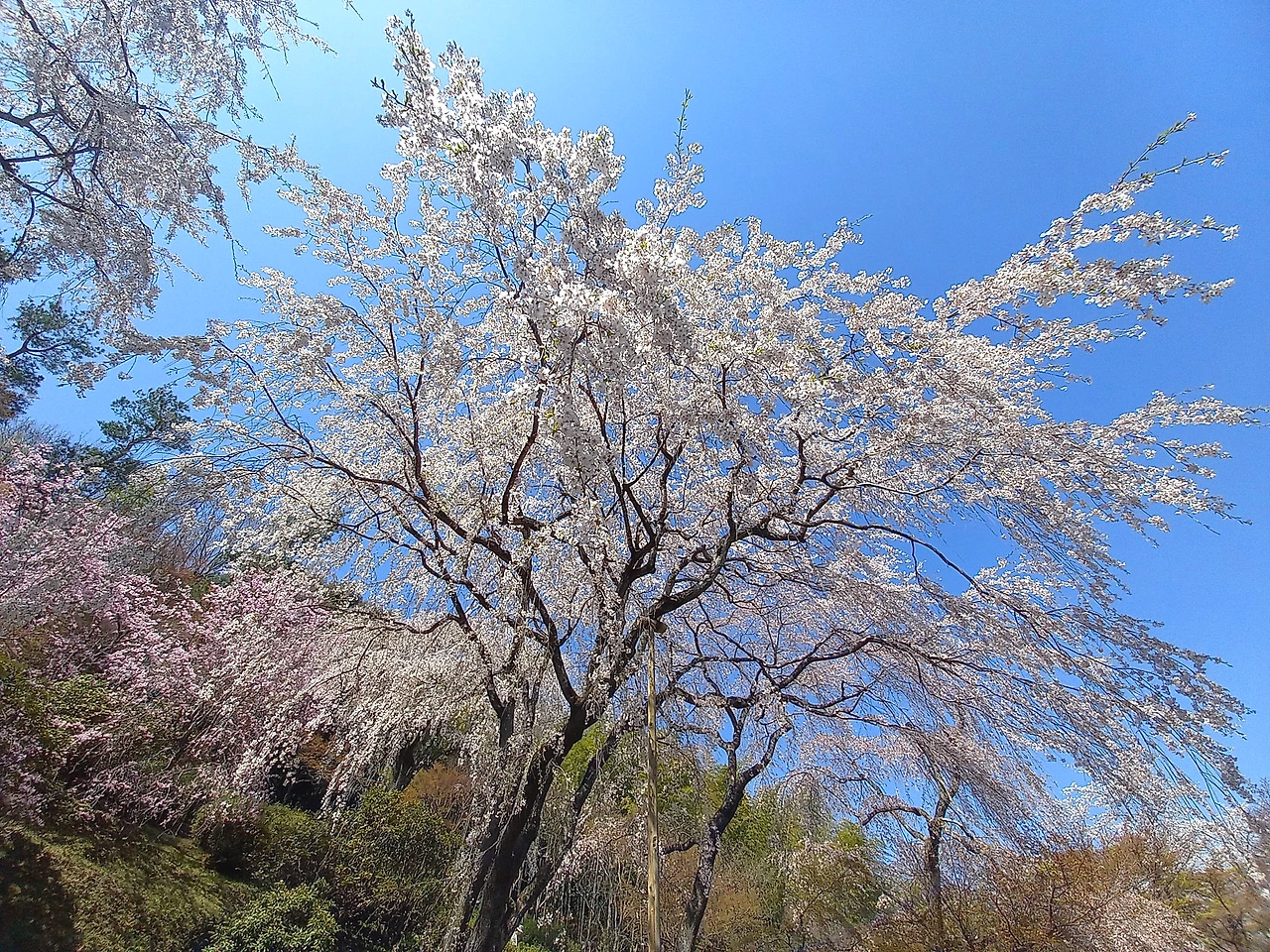 20230329_111257.jpg?type=w1600