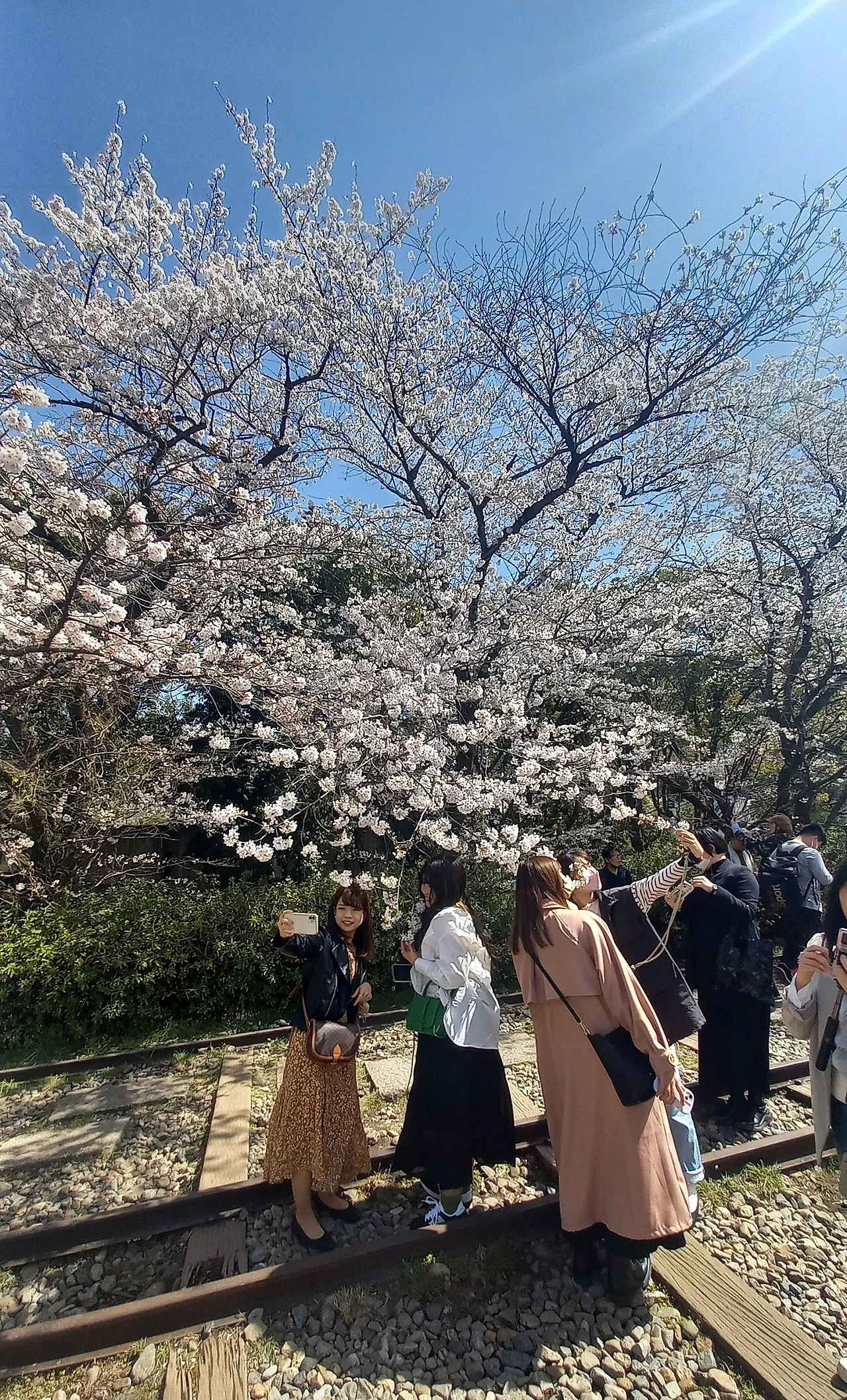 20230328_105648.jpg?type=w1600