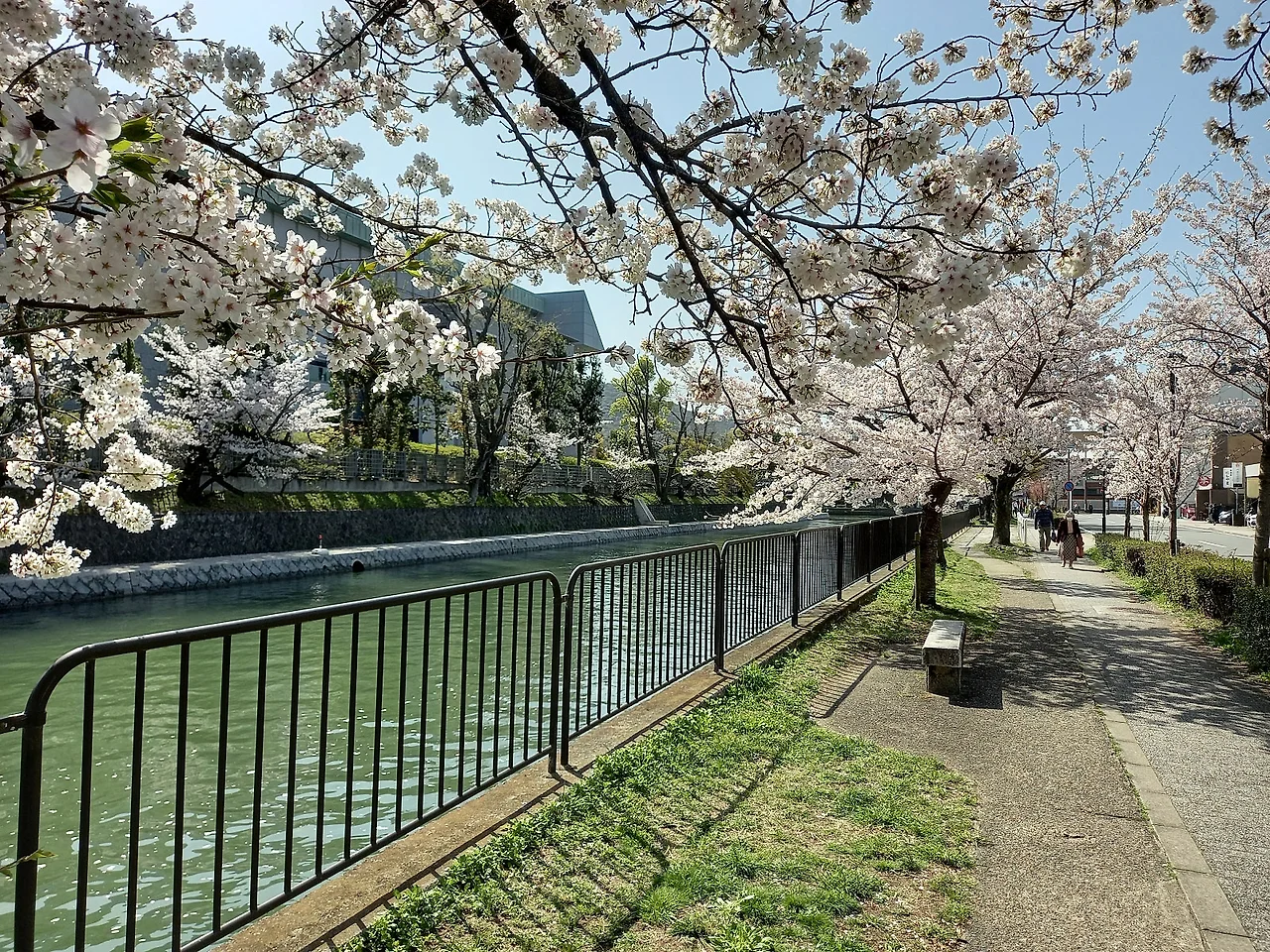 20230328_094403.jpg?type=w1600