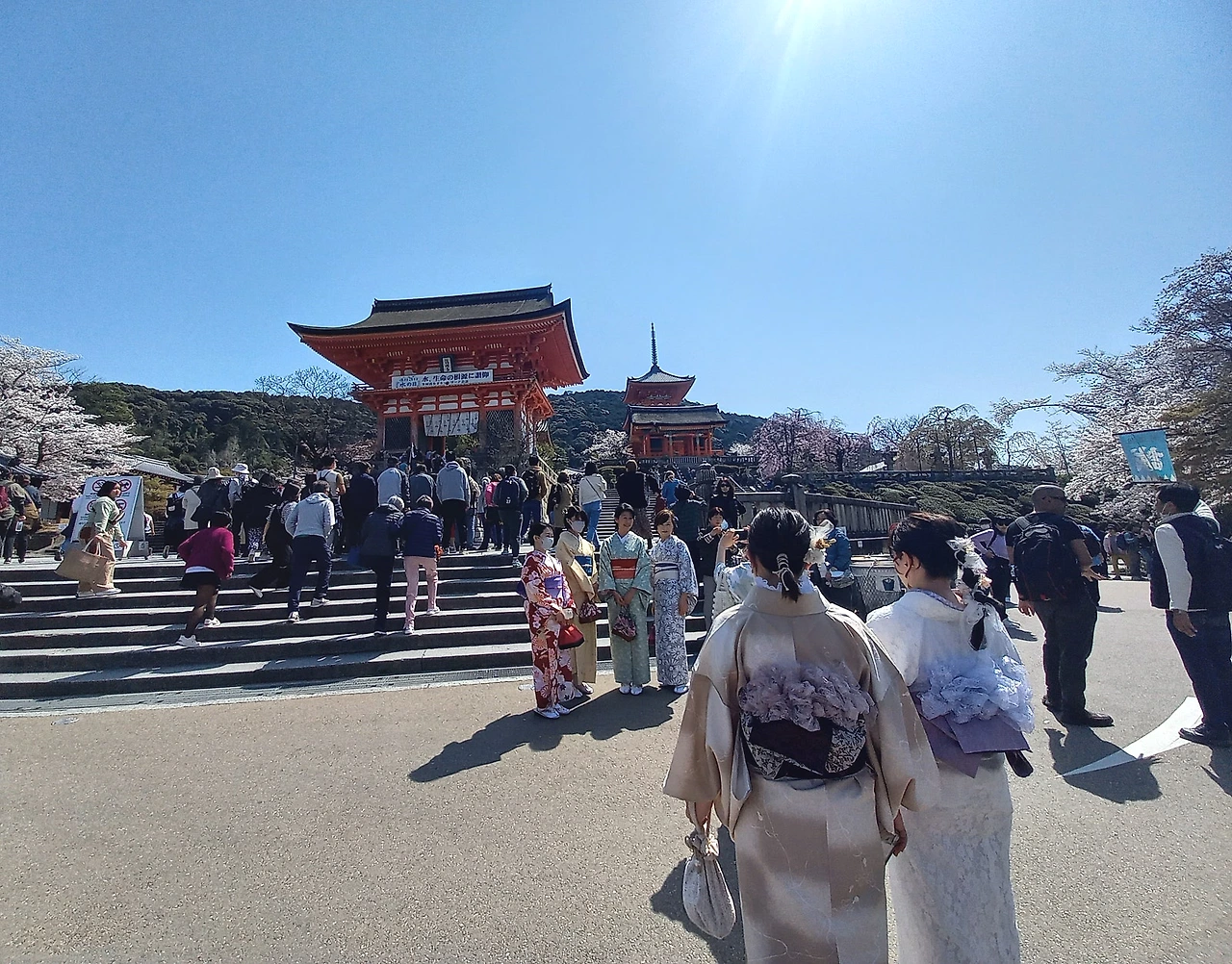 20230330_104125.jpg?type=w1600