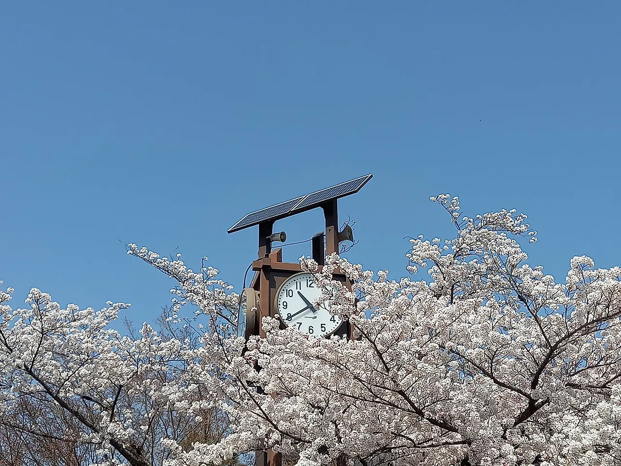 20230330_103957.jpg?type=w1600