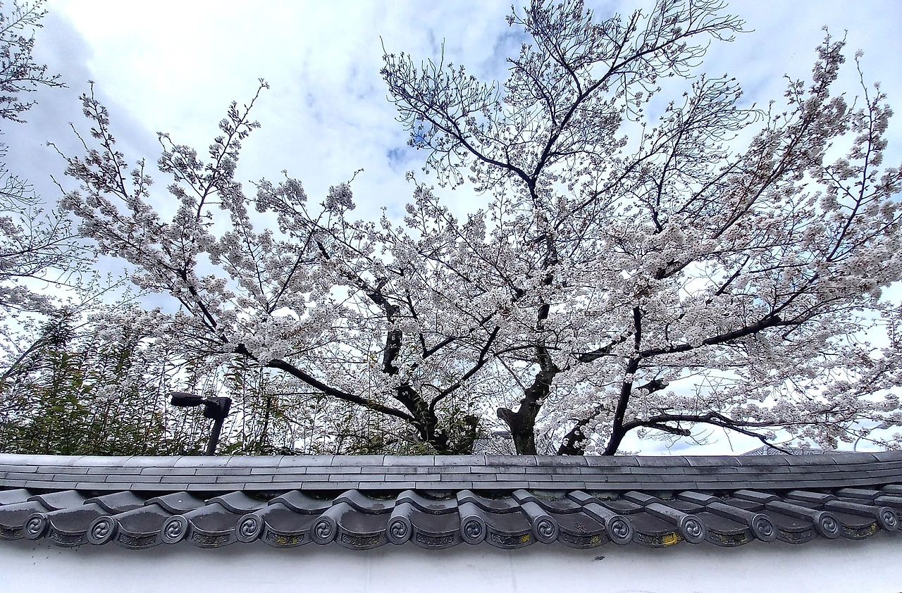 20230324_110447.jpg?type=w1600