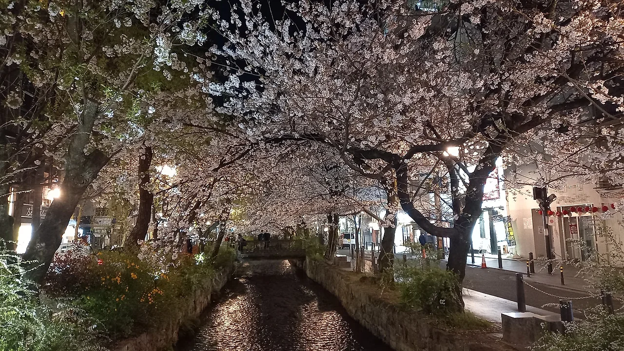 20230327_193006.jpg?type=w1600