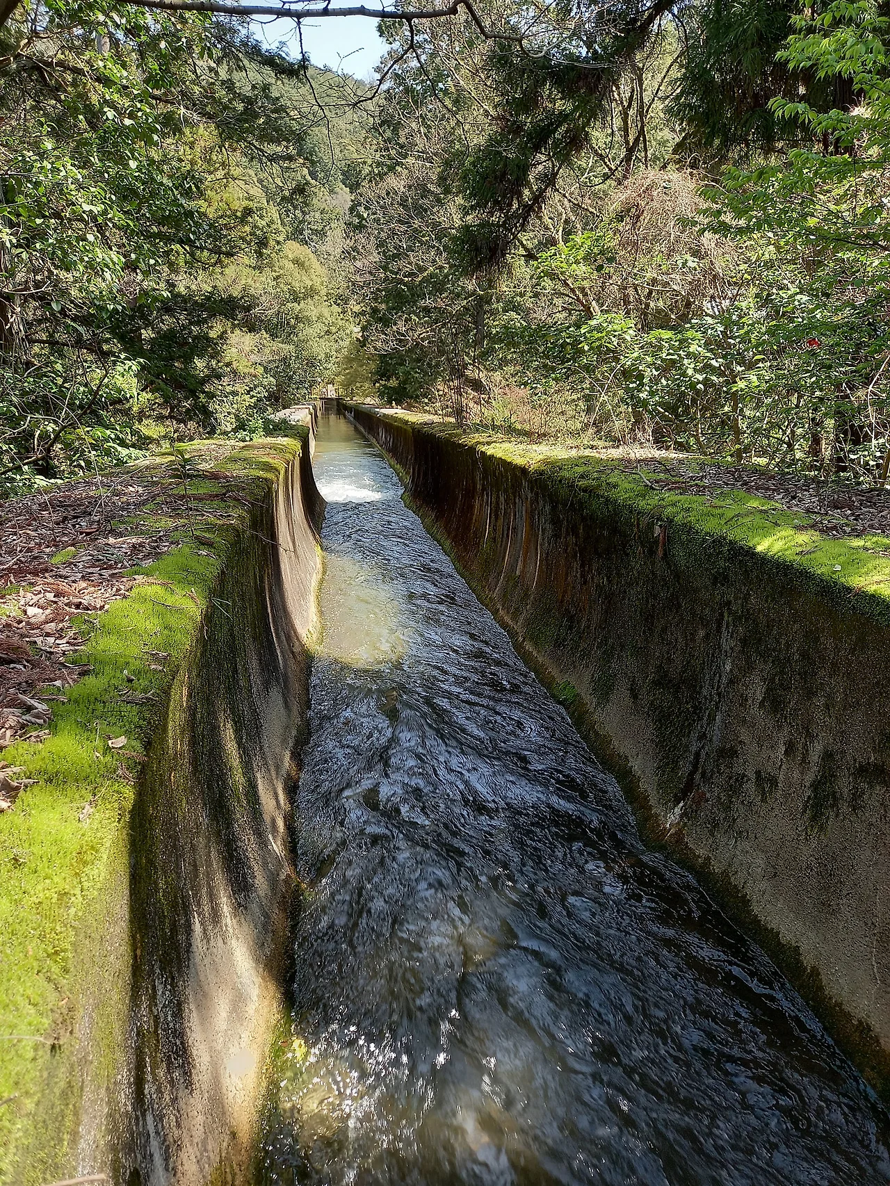 20230328_115947.jpg?type=w1600