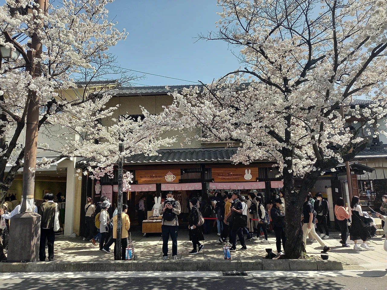 20230329_104523.jpg?type=w1600