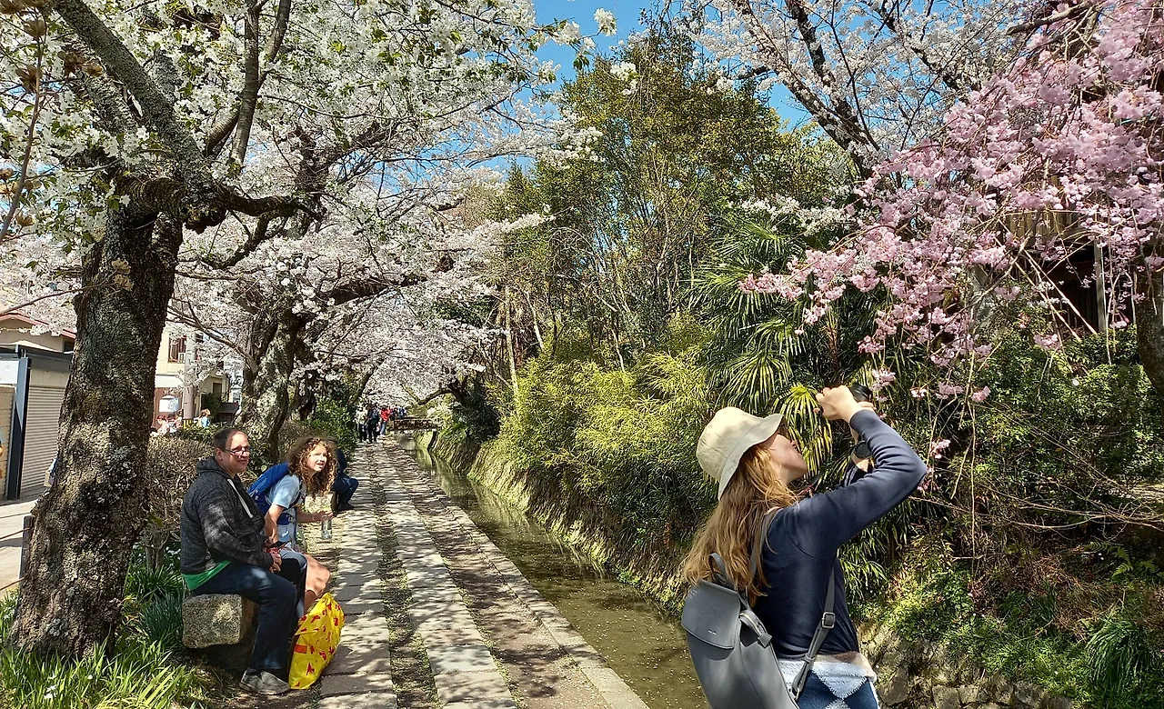 SE-f32e30e6-a74d-4565-a7fe-1771aa44a41a.jpg?type=w1600