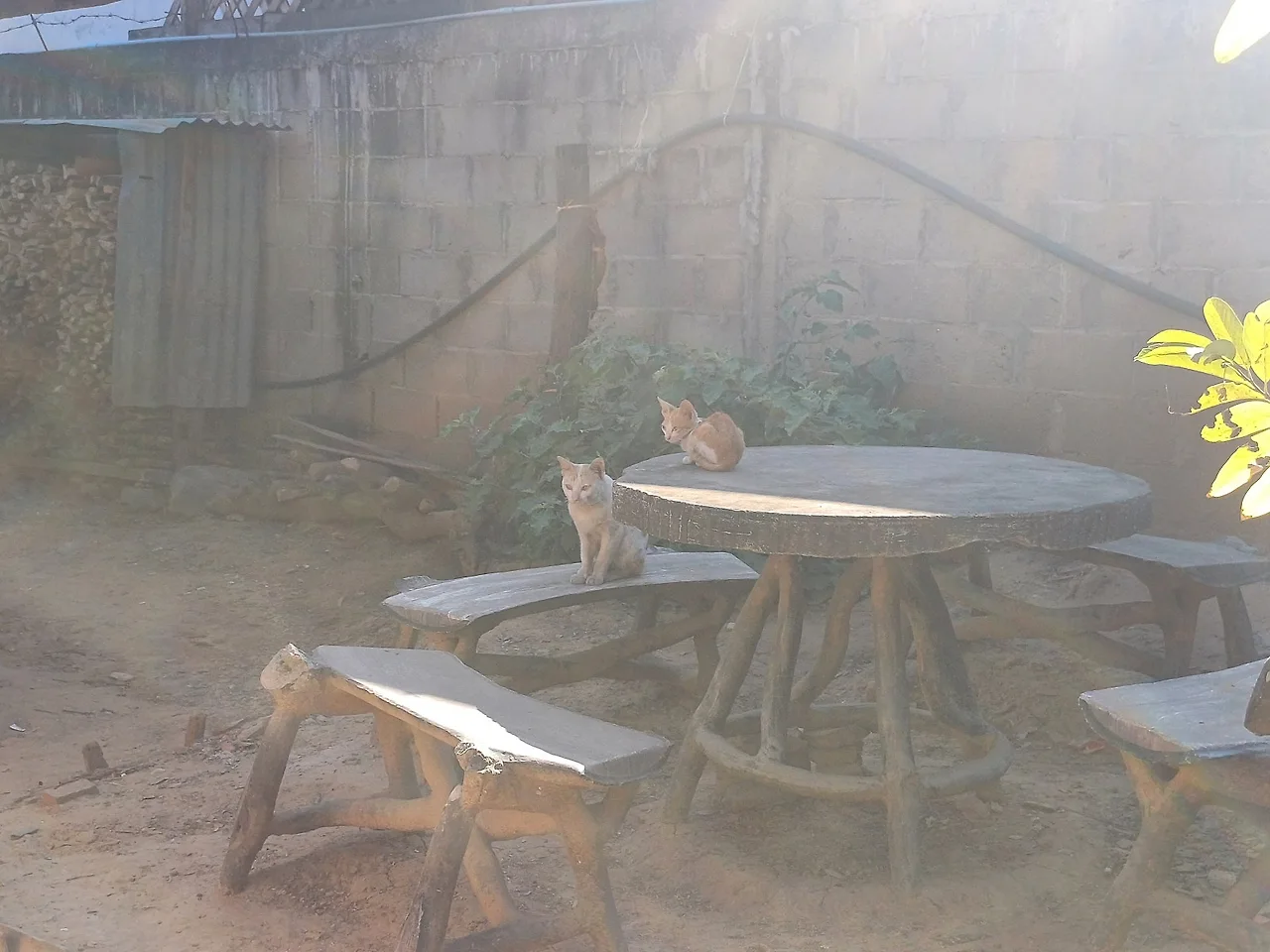 20241226_143312.jpg?type=w1600