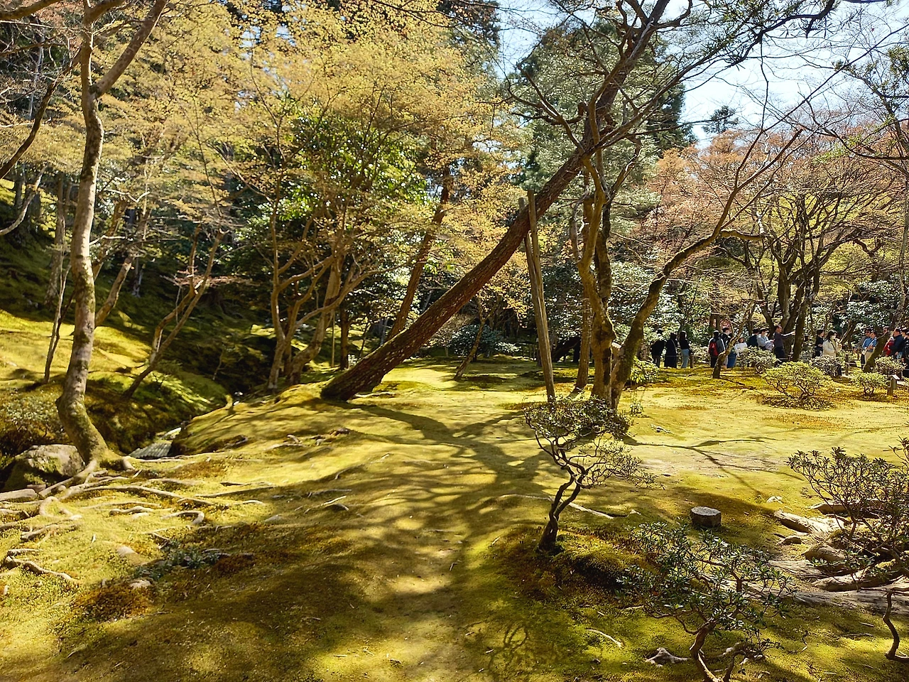 20230328_142157.jpg?type=w1600