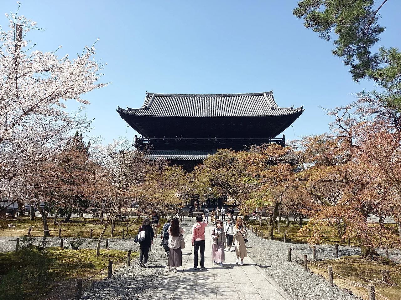 20230328_114810.jpg?type=w1600