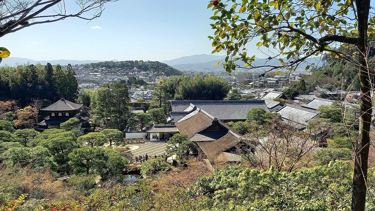 20230328_142821.jpg?type=w1600