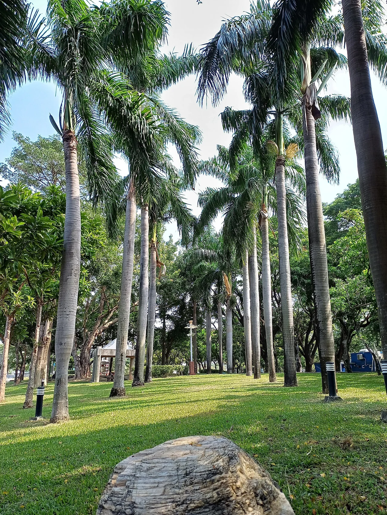 20231023_110926.jpg?type=w1600