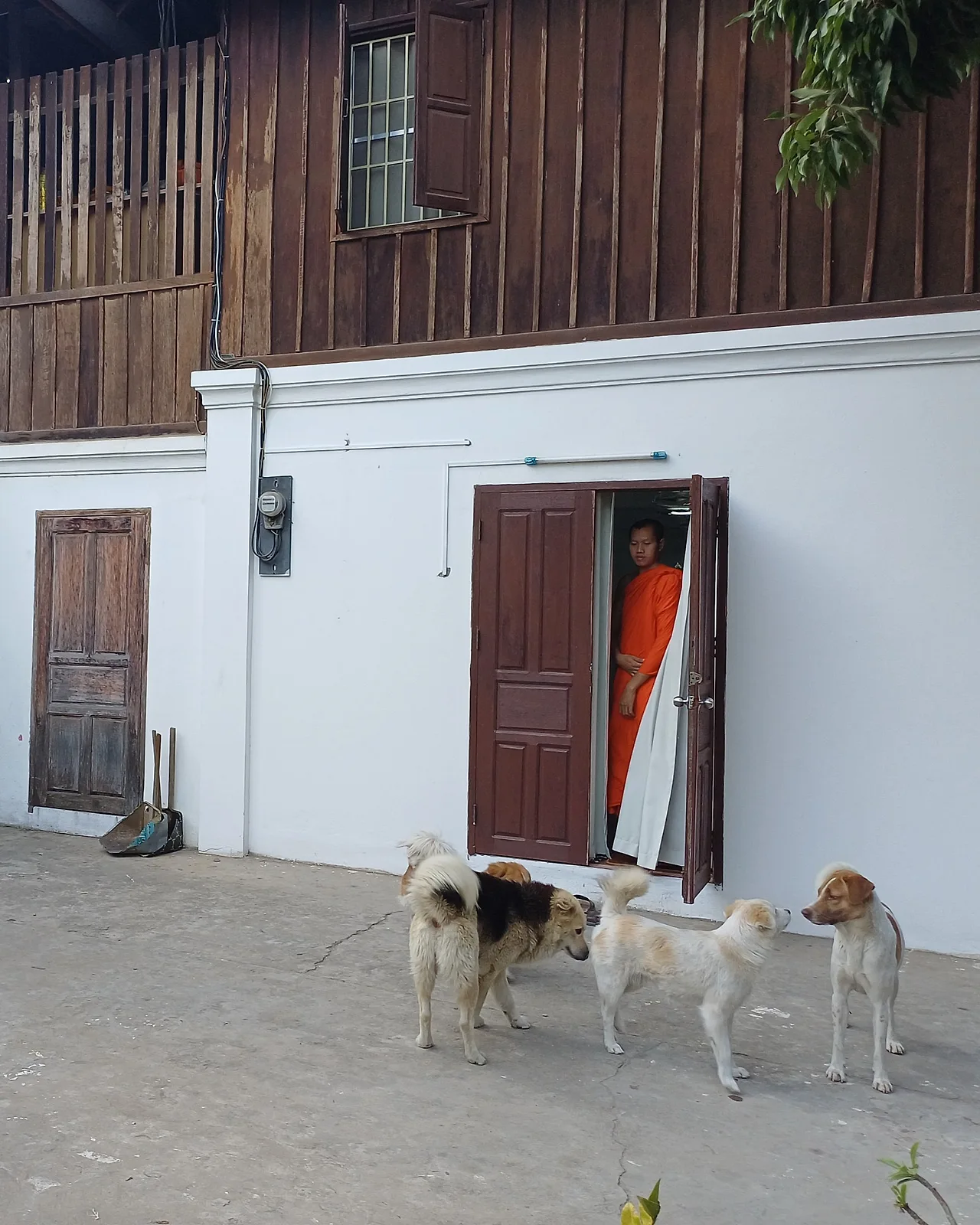 20250101_170849.jpg?type=w1600