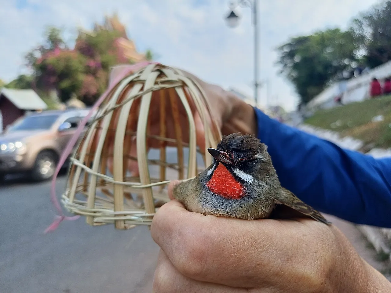 20241221_100119.jpg?type=w1600