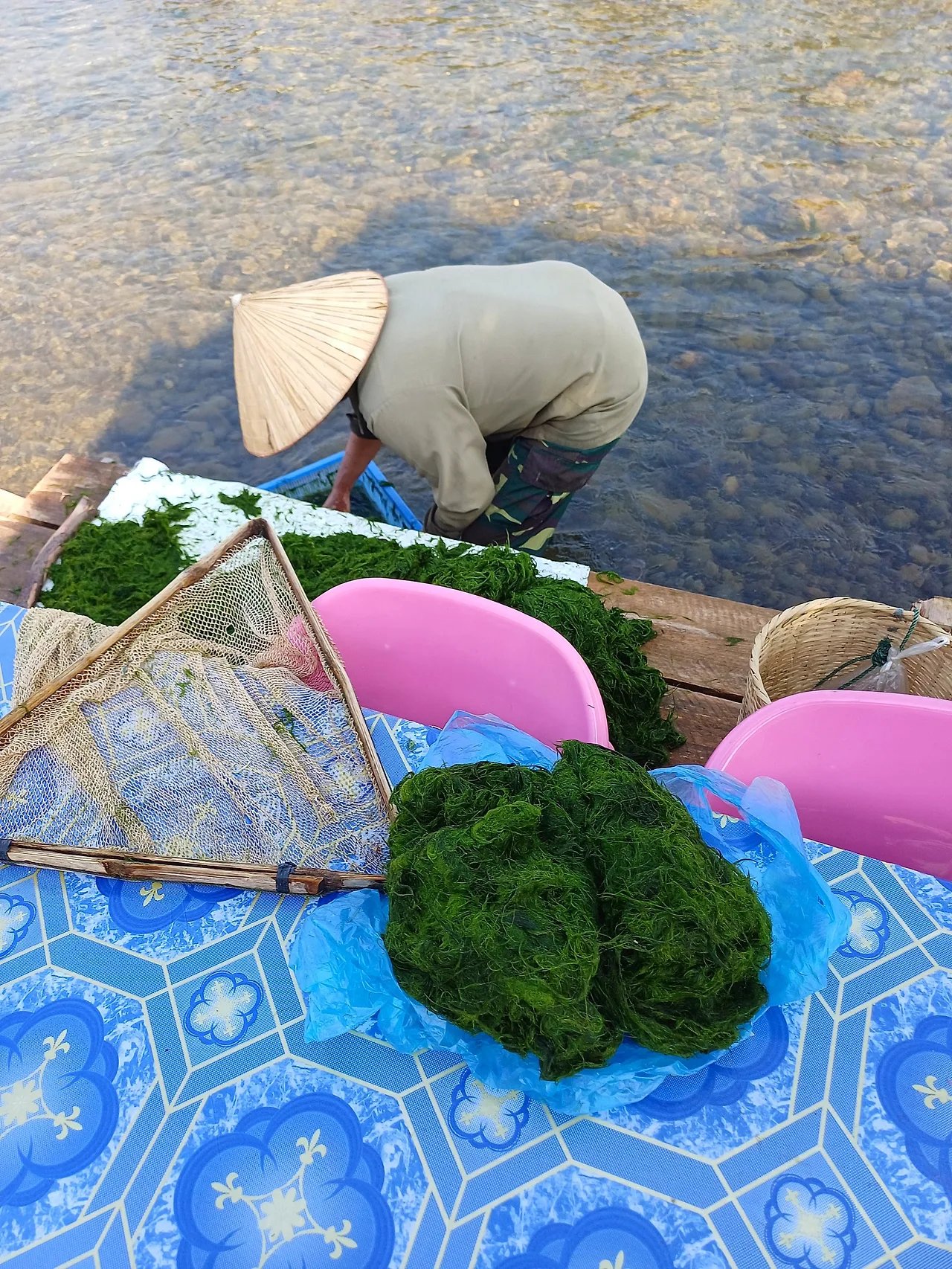 20250108_140038.jpg?type=w1600