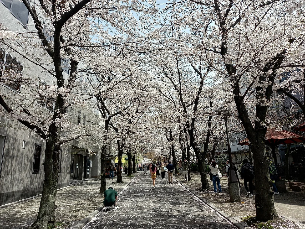 20230327_120426.jpg?type=w1600