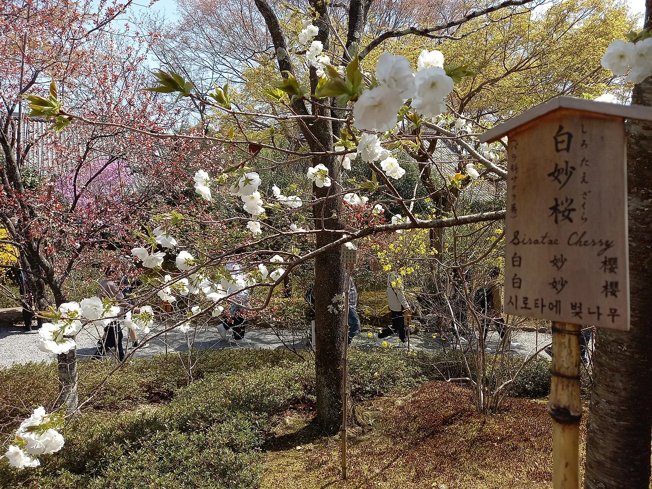 20230329_111926.jpg?type=w1600