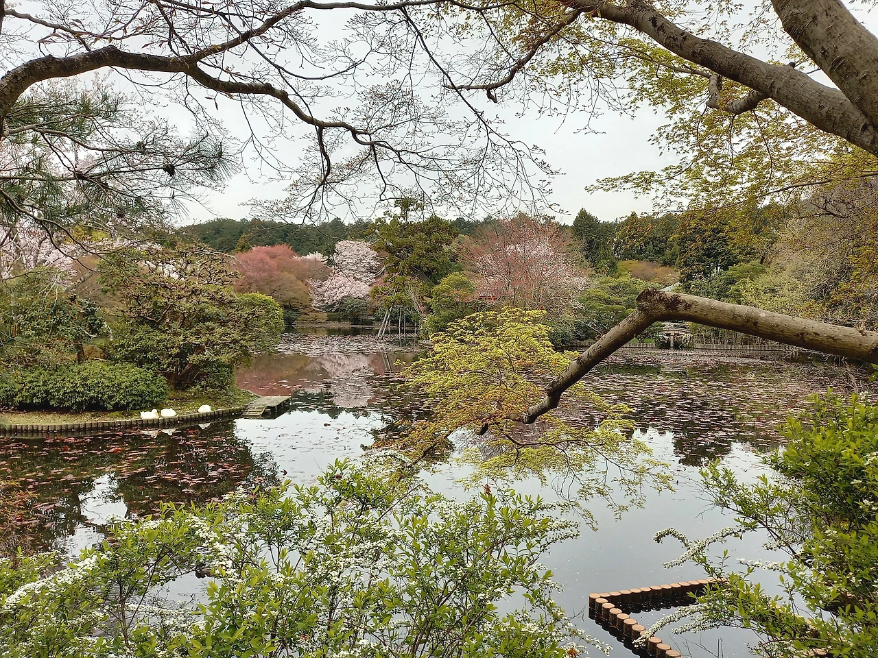 20230331_102937.jpg?type=w1600