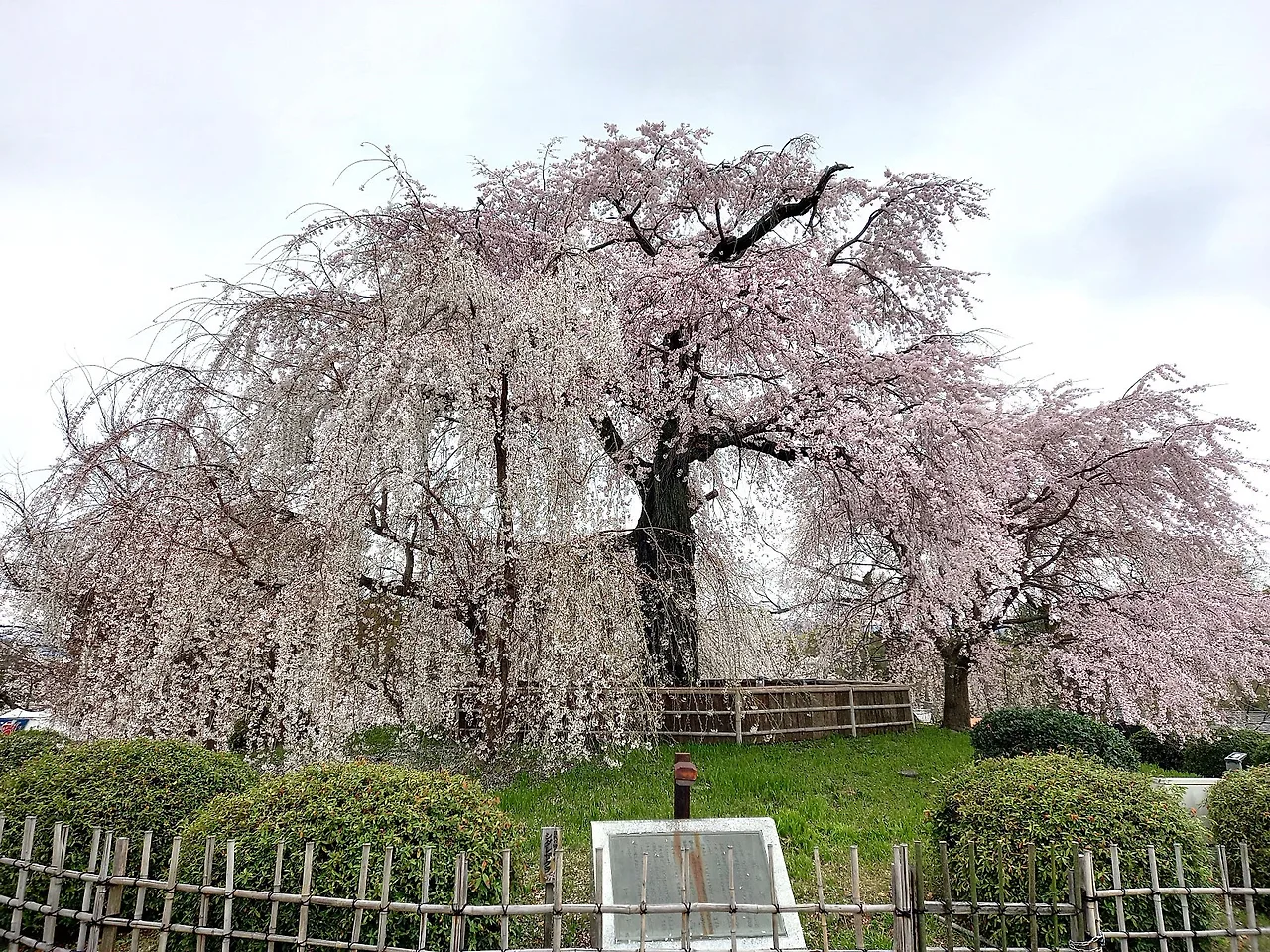 20230324_134218.jpg?type=w1600